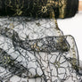 Chantilly Lace - Lace Tulle | Gilded Black Remnant (1.2M)