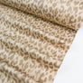 Vera - Japanese Stretch Drill | Leopard