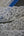 #51 Archival Corded Lace - 6cm | Off White