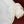 Doris - European Chevron Linen | Eggshell (LAST CUT - 3.3M)