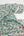 Carnation - Printed Viscose | Peppermint