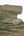 Bobby - Cotton Jacquard | Olive Green