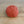 Zealana - Rimu (Fingering Weight)