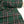 Franklin - Tartan Wool Flannel | Pine