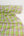 Allie - Yarn Dyed Cotton | Lime