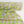 Allie - Yarn Dyed Cotton | Lime (LAST CUT - 2.2M)