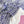 Paisley Print Silk Satin | Navy