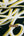 Dublin - Printed Viscose Knit | Honey