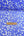 Silk Gauze | Cornflower