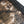 Trompe L’œil - Printed Knit | Tan Brocade