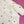 Indian Hand-Painted Silk Dupion | Ruby Spot