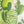 Saguaro - Screen-Printed Linen Gauze | Cactus