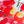 Wild Poppy - Screen-Printed Linen Gauze | Crimson