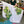 Saguaro - Screen-Printed Linen Gauze | Cactus