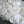 #30 Archival Beaded Venetian Lace - 18cm | Ivory